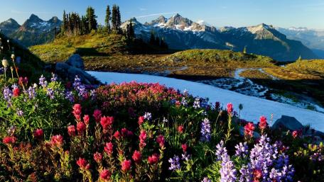 Vibrant Spring Landscape with Majestic Mountains wallpaper