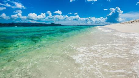Tropical Paradise Beach in Summer wallpaper