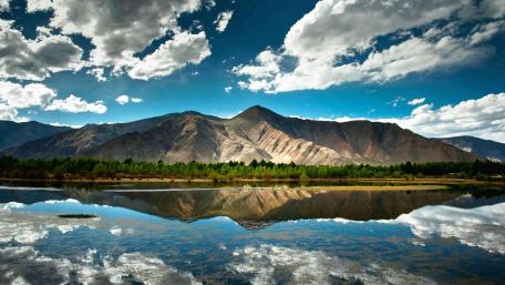 Padmaja Naidu Himalayan Zoological Park wallpaper