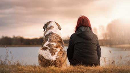 Serene Moments of Friendship with a Dog wallpaper