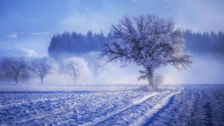 Tranquil Winter Wonderland Scene wallpaper