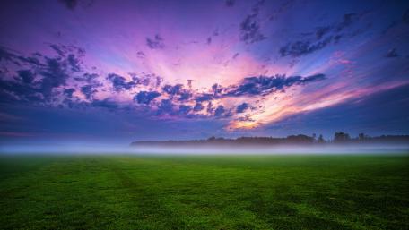 Purple Sunset Over a Misty Meadow wallpaper