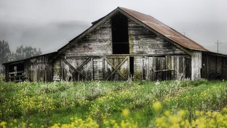 Rustic Barn Amidst Vibrant Meadow Landscape wallpaper