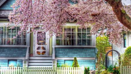 Charming Cottage Surrounded by Spring Blossoms wallpaper