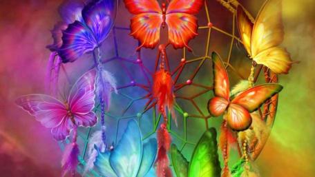 Dreamy Butterflies in Vibrant Colors wallpaper