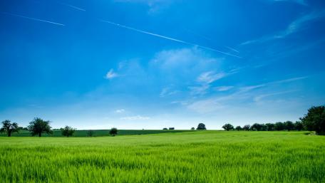 Green Fields Under a Vast Blue Sky wallpaper
