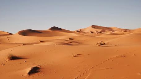 Golden Dunes of Serenity in the Desert Landscape wallpaper