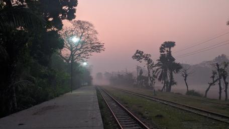Morning wallpaper