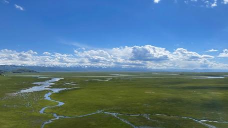 Expansive Green Wetland Under a Bright Sky wallpaper