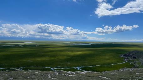 Vast Green Expanses Under a Blue Sky wallpaper