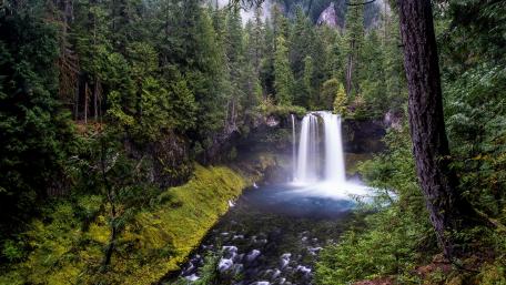 Willamette National Forest wallpaper