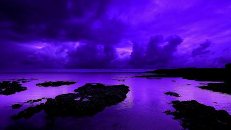 Purple Evening Serenity wallpaper
