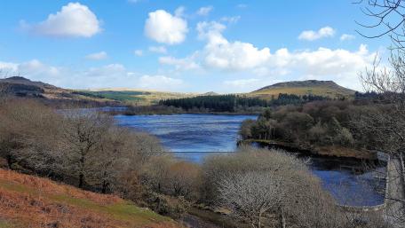 Devon Lake wallpaper