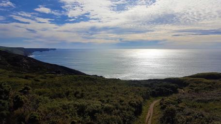 Cornish Coast wallpaper
