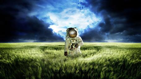 Astronaut in a Dreamy Field of Grass wallpaper