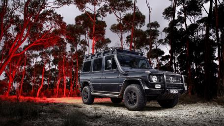 2017 Mercedes-Benz G 300 CDI Professional wallpaper