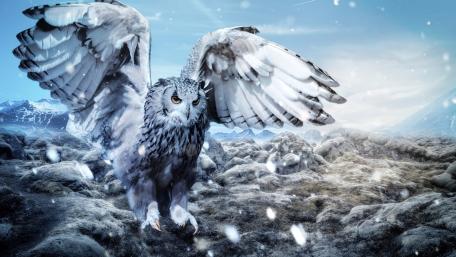 Majestic Snowy Owl in a Winter Landscape wallpaper