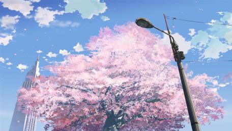 Sakura Tree in Bloom wallpaper
