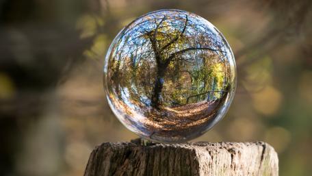 Autumn Reflections Through a Glass Sphere wallpaper