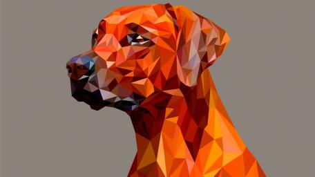 Low Poly Canine Creation wallpaper