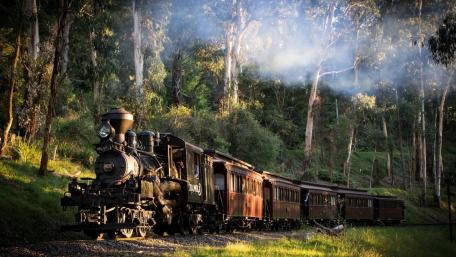 Vintage Train Journey Through Verdant Woods wallpaper