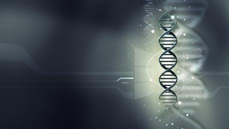 The Essence of Science's Building Blocks wallpaper