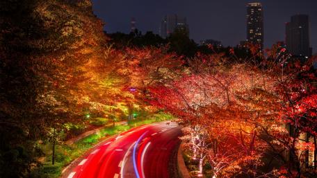 Autumn night in Tokyo wallpaper