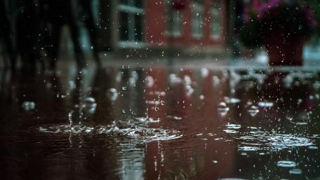 Gentle Raindrops on a City Street wallpaper