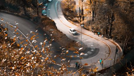 Curvy Autumn Road Amidst Nature's Palette wallpaper