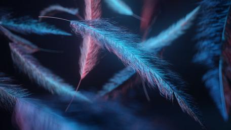 Ethereal Feather Symphony wallpaper