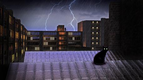 Black cat on the rooftop wallpaper