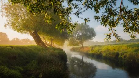 Dreamy Mist Over Serene Canal wallpaper
