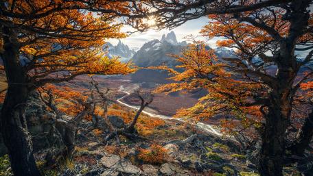 Mount Fitz Roy among the autumn trees wallpaper