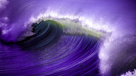 Majestic Purple Wave in Full Splendor wallpaper