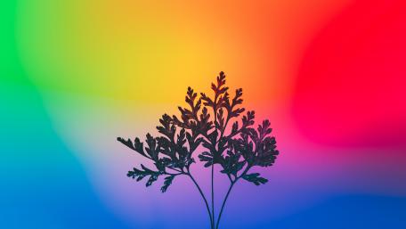 Vibrant Botanical Silhouette Against Gradient Bliss wallpaper