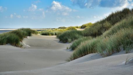 Sandy beach wallpaper