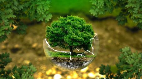 Ecological wallpaper