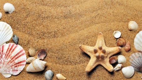 beachy doddles wallpaper
