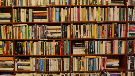 Bookshelf Full of Knowledge and Adventure wallpaper