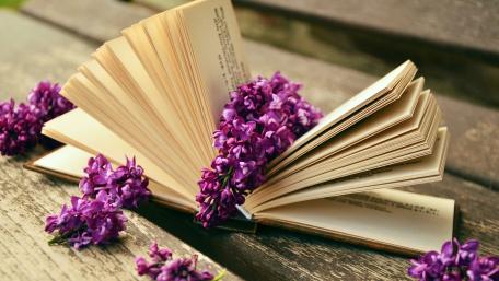 Open book wallpaper
