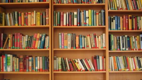 Colorful Library Bookshelf Filled with Knowledge and Imagination wallpaper