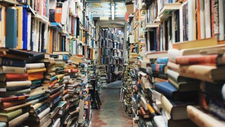 Endless Aisles of Literary Treasures wallpaper
