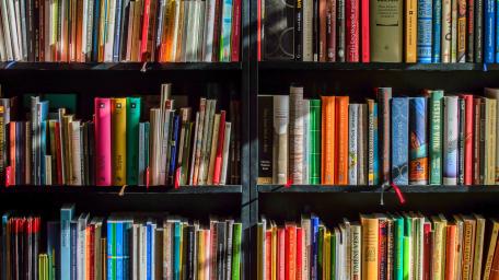 Vibrant Bookcase Full of Diverse Literature wallpaper