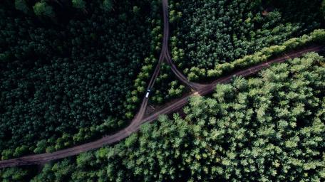 Aerial Perspective of Forest Road Crossing wallpaper
