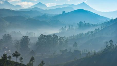Munnar wallpaper