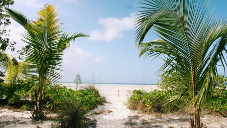 Beach in Bahamas wallpaper
