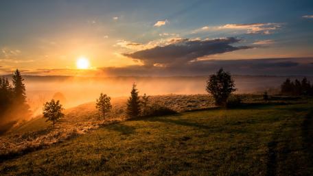 Morning sunshine wallpaper