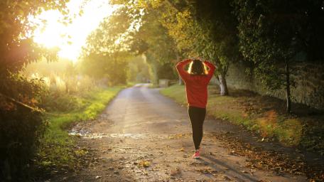 Morning walk wallpaper