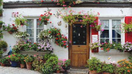 Charming Cottage Entrance with Blooms wallpaper