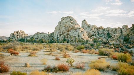 Joshua Tree National Park wallpaper